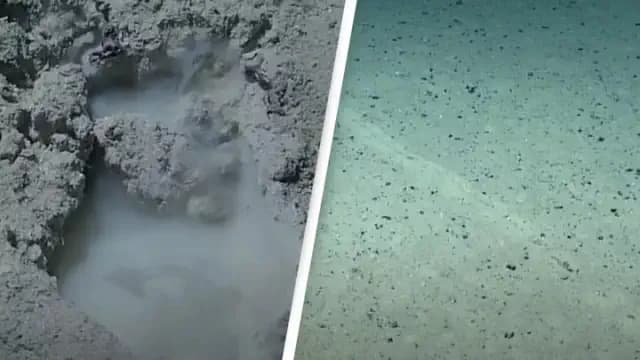 Researchers uncover unsettling findings at the planet's deepest location.