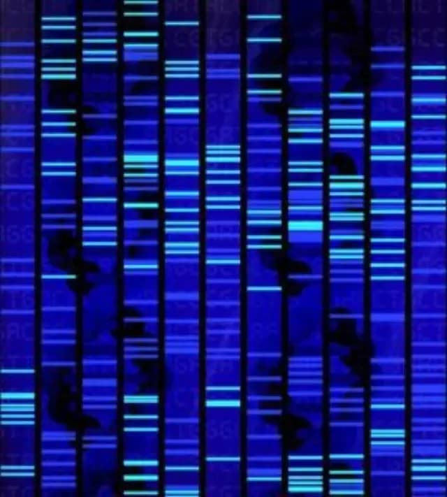 Pushing Limits in Spatial Biology: Investigating the 2D and 3D Environments