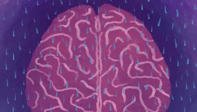 A Restful Night's Sleep Refreshes the Mind Similar to How a Dishwasher Cleans Dishes – Yet Caution is Advised with Sleep Medications.