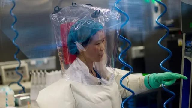 China's 'Batwoman' researcher continues to carry out hazardous coronavirus experiments despite concerns over lab leaks.