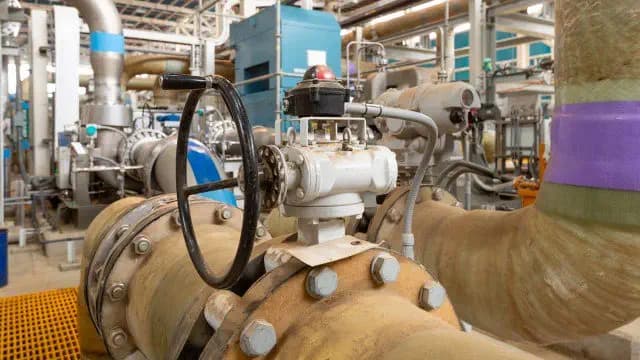 Scientists stumble upon a surprising finding in their efforts to enhance desalination processes: 'Remarkably convenient and budget-friendly'