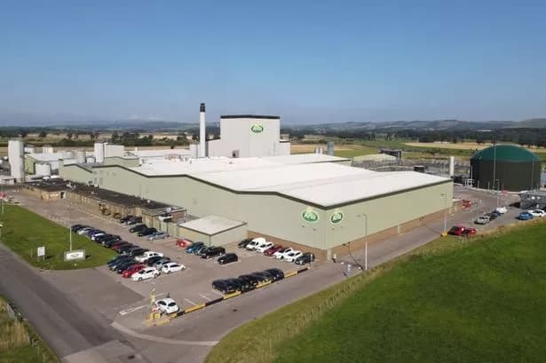 Arla Foods to merge with German milk cooperative to form €19bn revenue giant