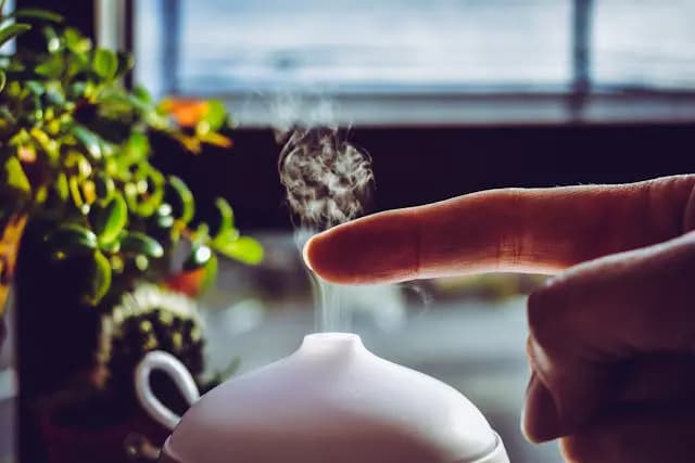 Discovering the Skincare Advantages of Facial Steamers and Humidifiers