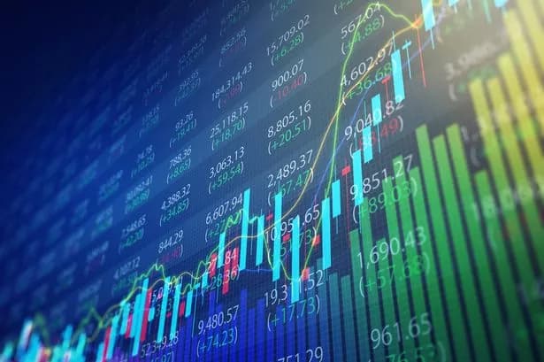 Wise's shares soar as customer growth fuels 51% profit surge, plans to cut fees further